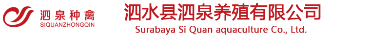 泗水縣泗泉養殖有限公司