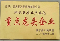 榮譽資質